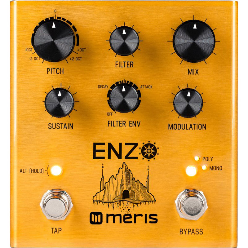 arpeggiator pedal guitar Meris Enzo Multi-Voice Instrument Synthesizer Pedal
