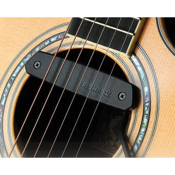 ToneWoodAmp Fishman Neo-D Passive Humbucking Soundhole Pickup for Steel Strings Guitars